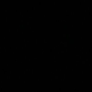 Meet your Posher, Janice